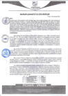 Vista preliminar de documento rgm232