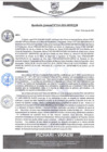 Vista preliminar de documento rgm234