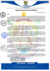 Vista preliminar de documento rgm235