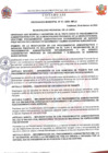 Vista preliminar de documento TUPA MPLU