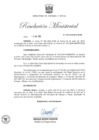 Vista preliminar de documento RM-228-2024-MINEM-DM