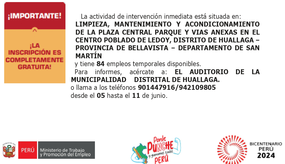 Afiche A4_Llamkasun Perú_21dias