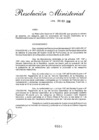 Vista preliminar de documento Resolución Ministerial N° 0554-2020-RE