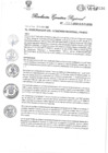 Vista preliminar de documento DIRECTIVA GENERALN° 002-2022