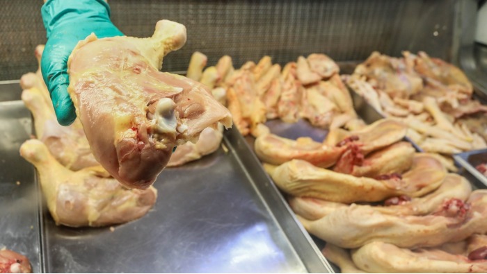 • Mientras el precio del pollo sigue en descenso y se mantiene a S/ 5.00 soles kilo