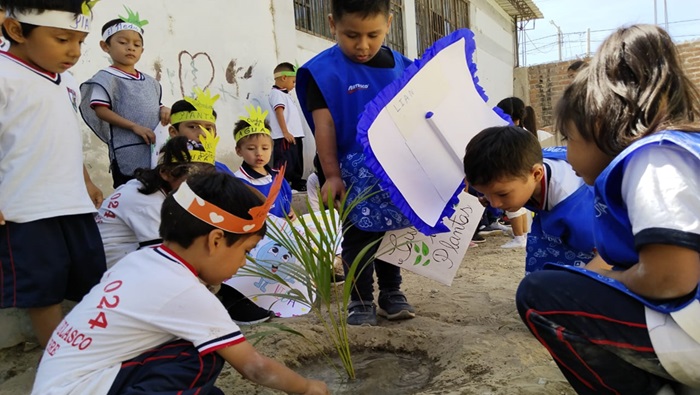 Plantando