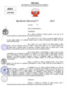 Vista preliminar de documento Resolucion Directoral N° 003631-2024