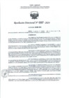 Vista preliminar de documento 0007
