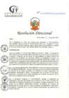 Vista preliminar de documento RD N°161-05-2024-DE-HCLLH-MINSA