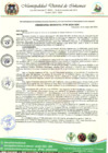 Vista preliminar de documento ORDENANZA 08