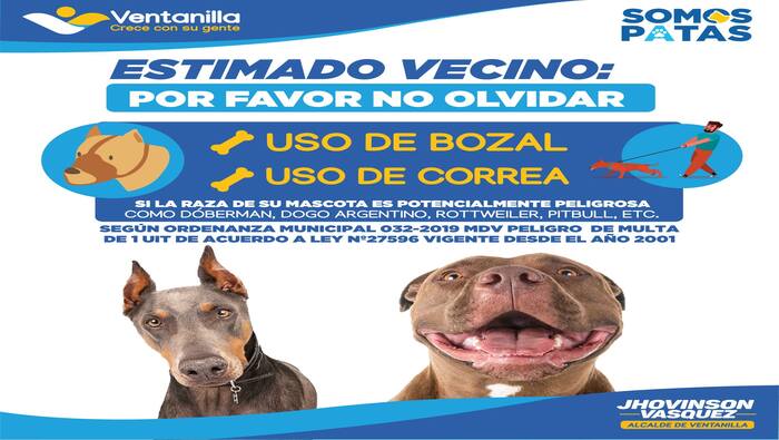 Estimado vecino, es fundamental ser responsables con nuestras mascotas y cumplir con las normativas municipales. Si tienes un can potencialmente peligroso, asegúrate de usar el bozal y la correa de forma adecuada, según lo establecido en la ordenanza municipal 032-2019 MDV. Esta medida contribuirá a una convivencia armoniosa en nuestra comunidad, garantizando la seguridad de todos. Juntos podemos crear un entorno seguro y respetuoso para todos. ¡Ventanilla crece con su gente!