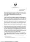Vista preliminar de documento RD N° 0088-2024-MINEM/DGAAE