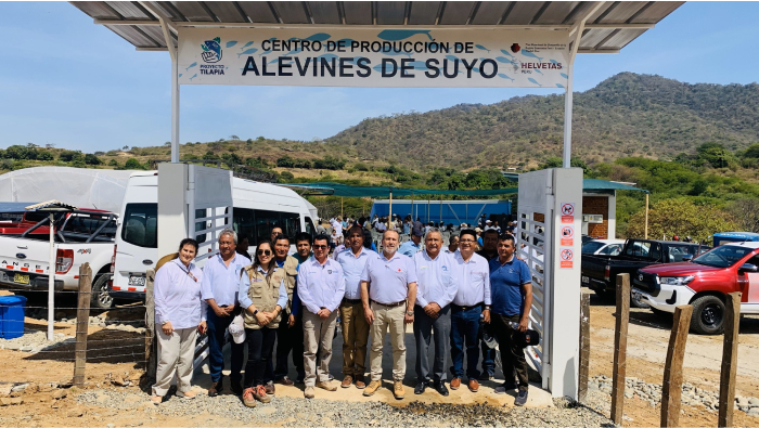 1 MILLÓN 600 MIL SOLES INVERTIRÁN EN PROYECTO DE CRIANZA DE TILAPIA EN TAMBOGRANDE