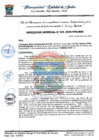 Vista preliminar de documento 035-2024-GDE-MDS
