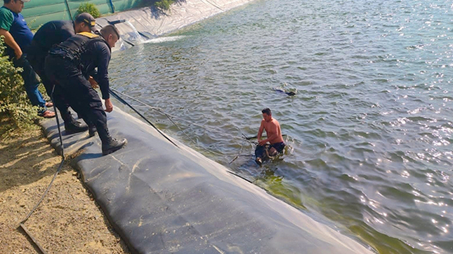 Rescatan perros atrapados en un represa