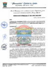 Vista preliminar de documento 038-2024-GDE-MDS