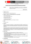 Vista preliminar de documento INFORME TECNICO DE ESTANDARIZACION N 002-2024-OEFA-SSGG-ESTANDARIZACION