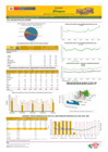 Vista preliminar de documento Boletín de volumen y precio de PAPA - 05/06/2024