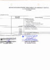 Vista preliminar de documento Ejecución Presupuestal - Enero 2024