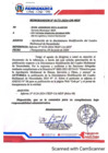 Vista preliminar de documento 17ava Modificacion cuadro multianual de necesidades