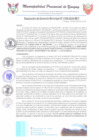Vista preliminar de documento RGM0189-2024