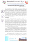 Vista preliminar de documento RGM0226-2024