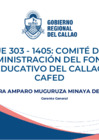 Vista preliminar de documento Exposición – Primera Audiencia Pública Regional 2024 - CAFED
