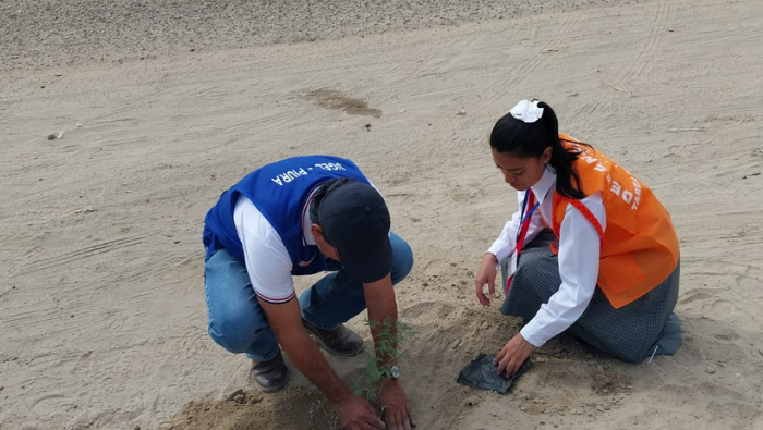 Arborización simbólica en la margen del rio Piura como parte de las actividades por el día mundial del Medio Ambiente