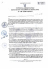 Vista preliminar de documento 196-2024