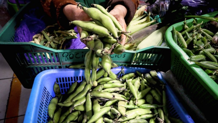 Hoy ofertas de haba, papa, vainita, plátano, uva y manzana en el mercado mayorista