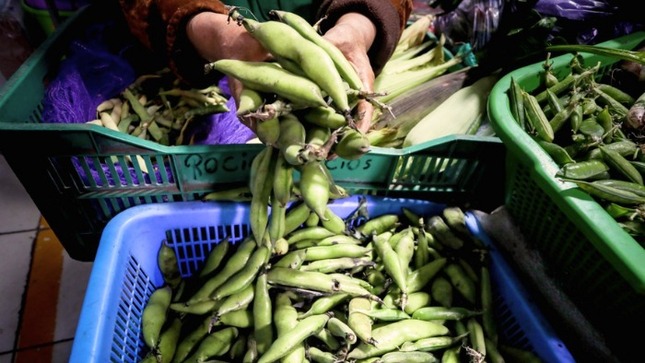  Hoy ofertas de haba, papa, vainita, plátano, uva y manzana en el mercado mayorista