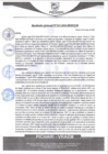 Vista preliminar de documento rgm245