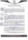 Vista preliminar de documento rgm262