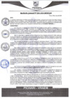 Vista preliminar de documento rgm263