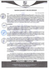 Vista preliminar de documento rgm268