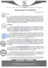 Vista preliminar de documento rgm271