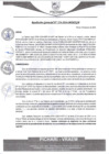 Vista preliminar de documento rgm274