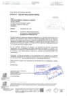 Vista preliminar de documento ANTECEDENTES PAP
