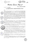 Vista preliminar de documento R.E.R N° 0534  DIRECTIVA GENERAL N° 011-2021