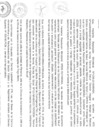 Vista preliminar de documento RESOLUCION DIRECTORAL N°145-2024-GRH-DRS-HTM