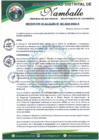 Vista preliminar de documento RESOLUCION DE ALCALDIA 102-2024-MDN/A