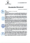Vista preliminar de documento RD Nº 133-2024-DGINSM-HD-HN