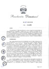 Vista preliminar de documento rd_309_2024