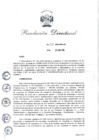 Vista preliminar de documento rd 313-2024