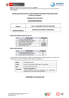Vista preliminar de documento Eval. Curricular CAS N°020-2024