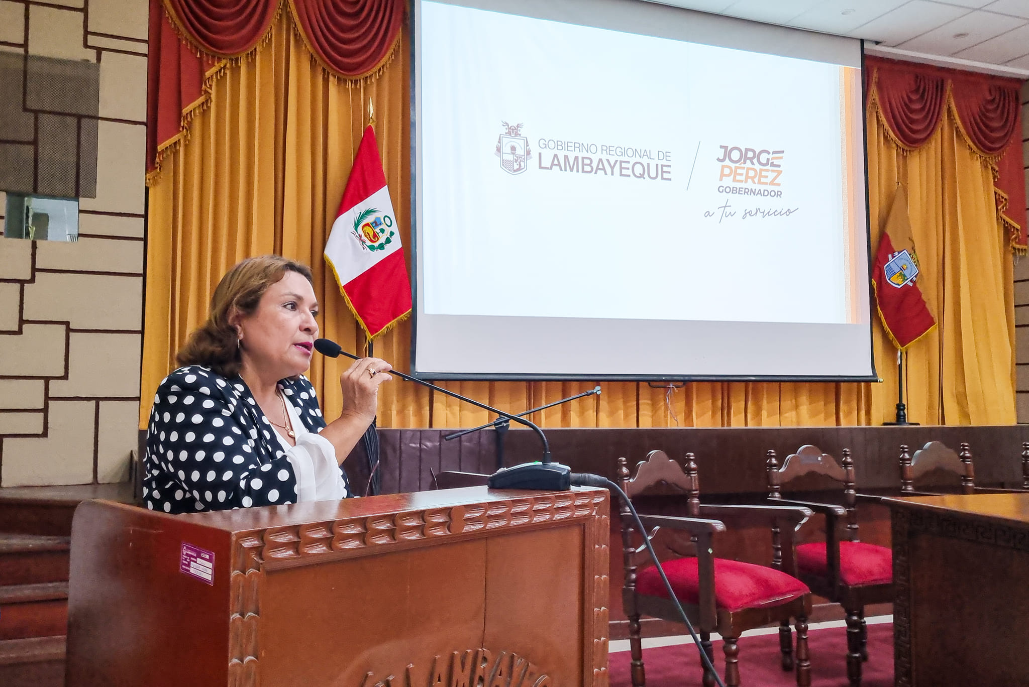 Aprueban ordenanza para creación del Consejo Regional por los derechos de Niñas, Niños y Adolescentes