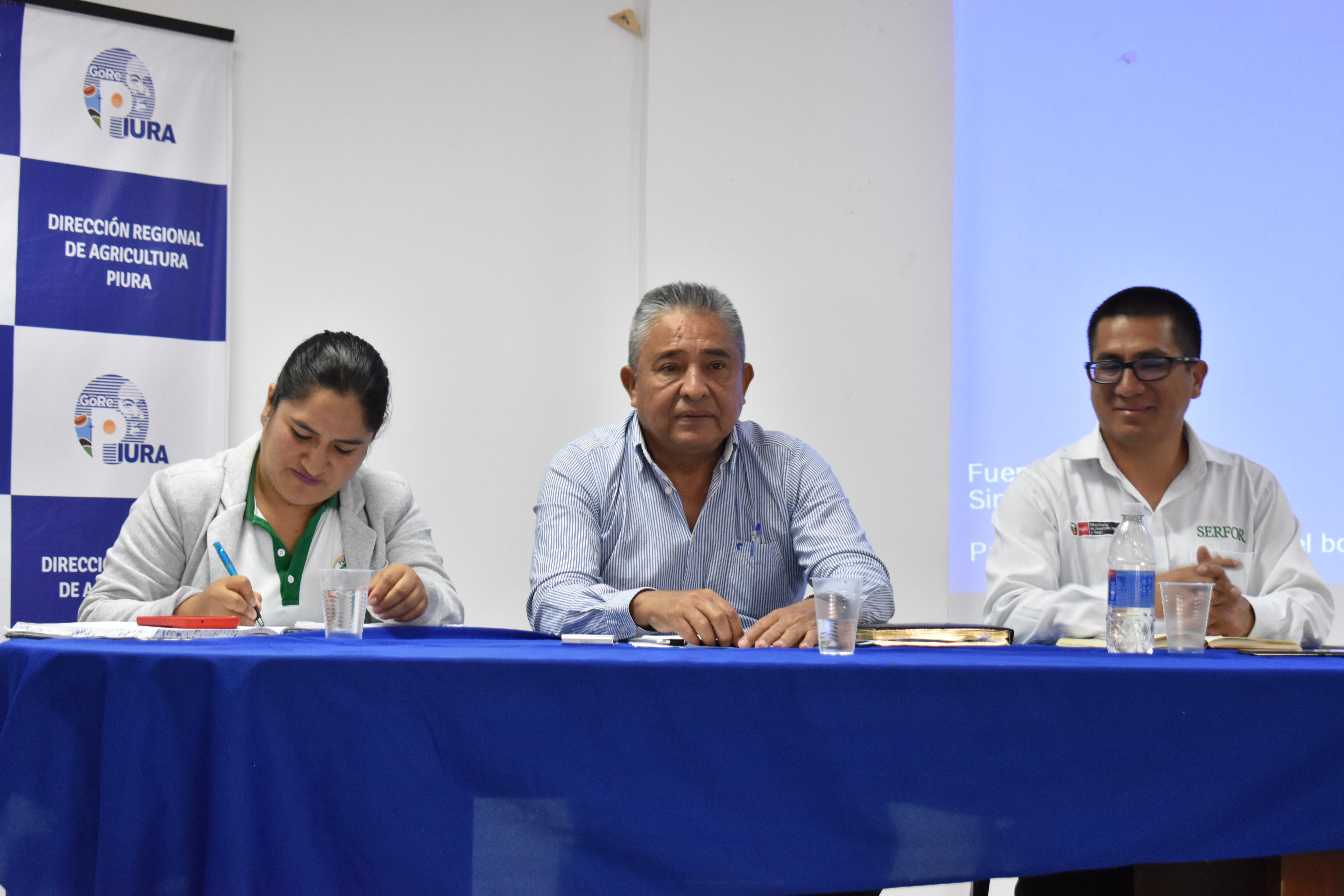 Mesa Técnica Regional acuerda acciones para dar sostenibilidad a la cadena productiva del bambú