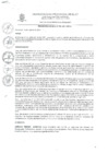 Vista preliminar de documento Comité de vigilancia - Presupuesto Participativo 2018