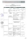 Vista preliminar de documento Agenda del Proceso - Presupuesto Participativo 2018