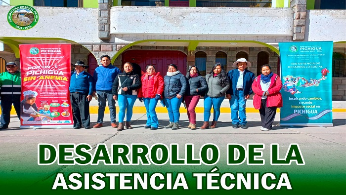 Desarrollo de la Asistencia Técnica